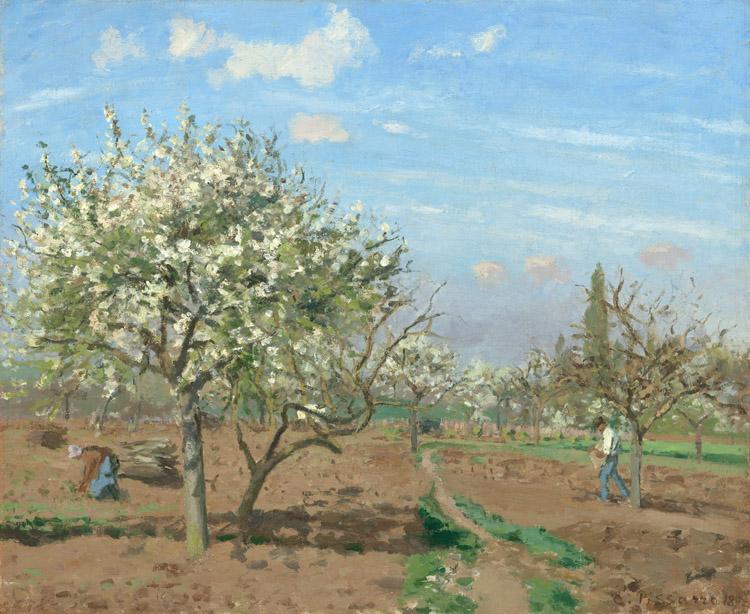 Camille Pissarro Orchard in  Bloom,Louveciennes (nn02) oil painting image